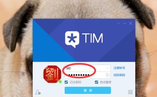 騰訊TMQQ怎么用