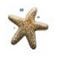 網(wǎng)頁字?jǐn)?shù)統(tǒng)計(jì)器