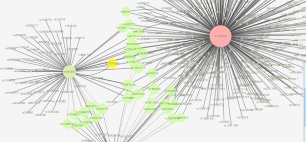 Cytoscape