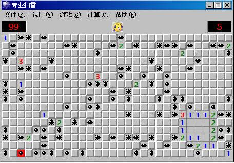 專業(yè)掃雷