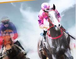 網(wǎng)絡(luò)馬場(chǎng) race