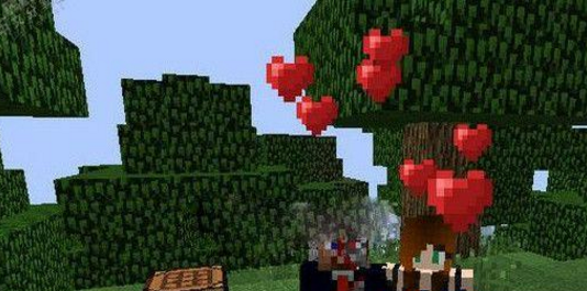 我的世界結婚MOD